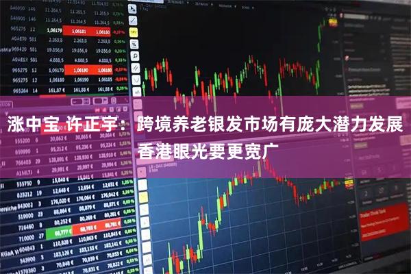 涨中宝 许正宇：跨境养老银发市场有庞大潜力发展 香港眼光要更宽广