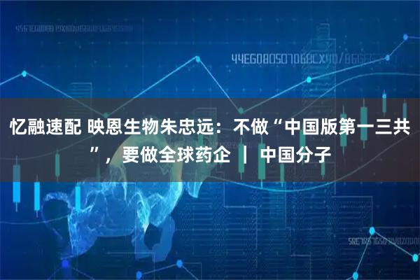 忆融速配 映恩生物朱忠远：不做“中国版第一三共”，要做全球药企 ｜ 中国分子
